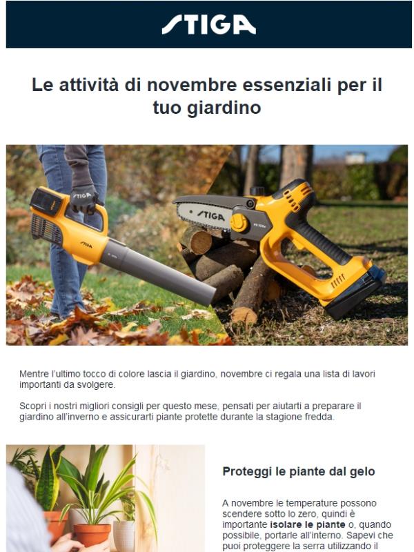 Novembre in giardino