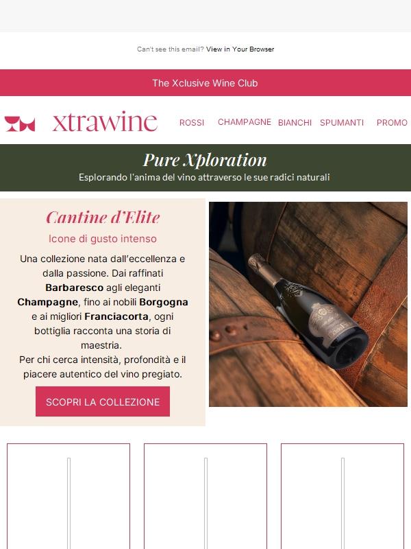 Cantine d’Elite: icone di gusto intenso in una collezione eccezionale