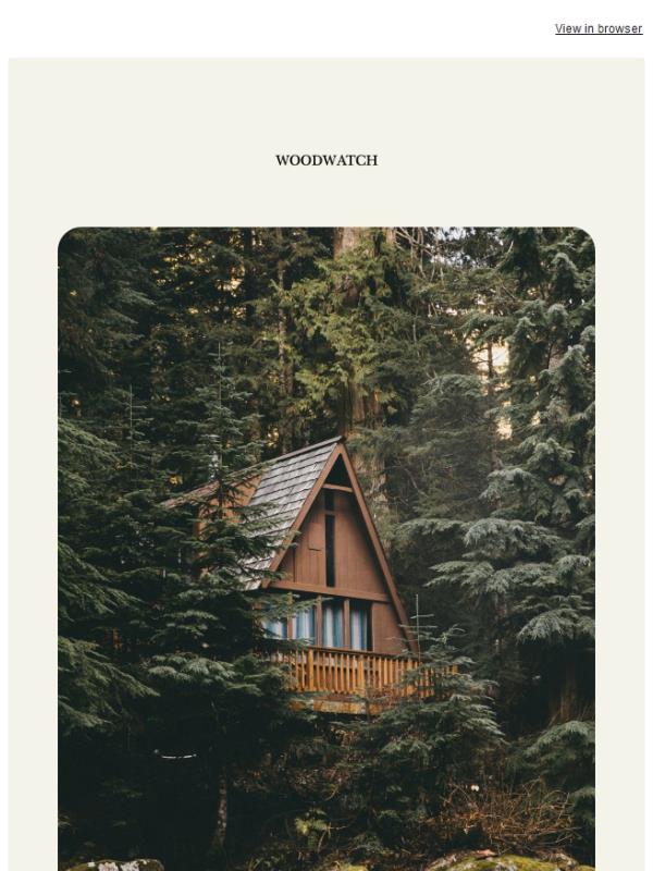 The Friday Pause: one slow step into the weekend 🌿