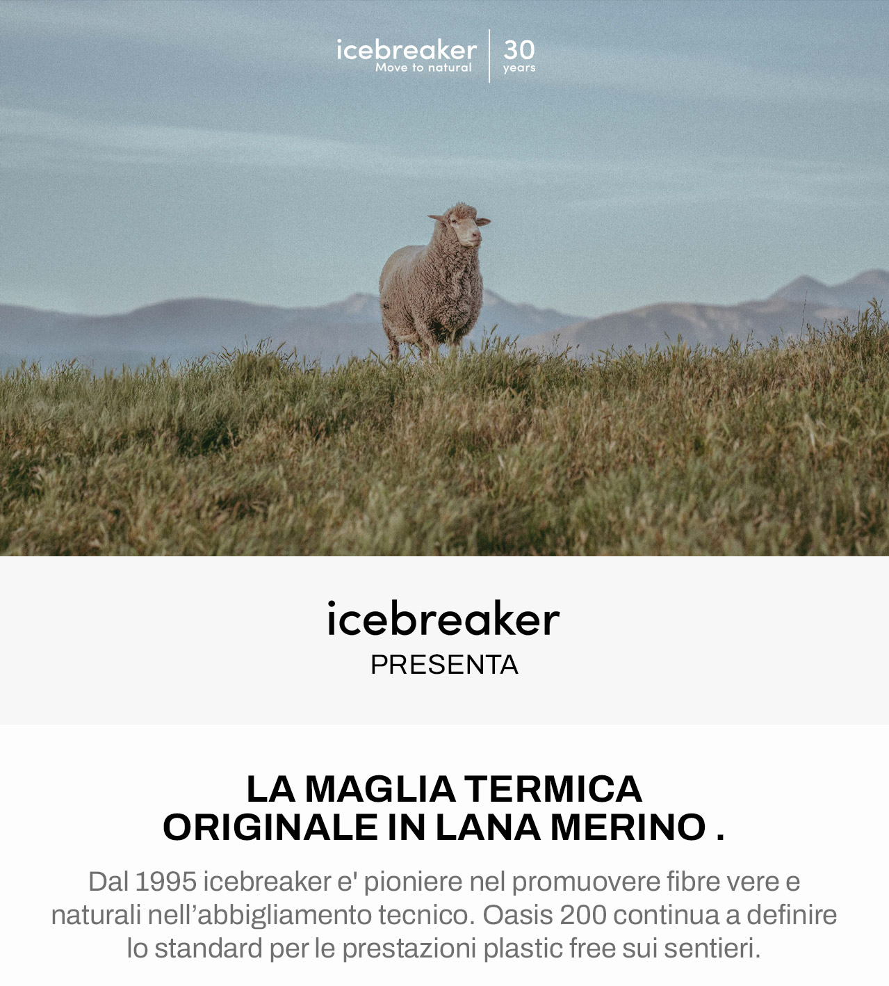 Icebreaker