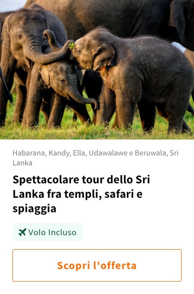 Spettacolare tour dello Sri Lanka fra templi, safari e spiaggia
