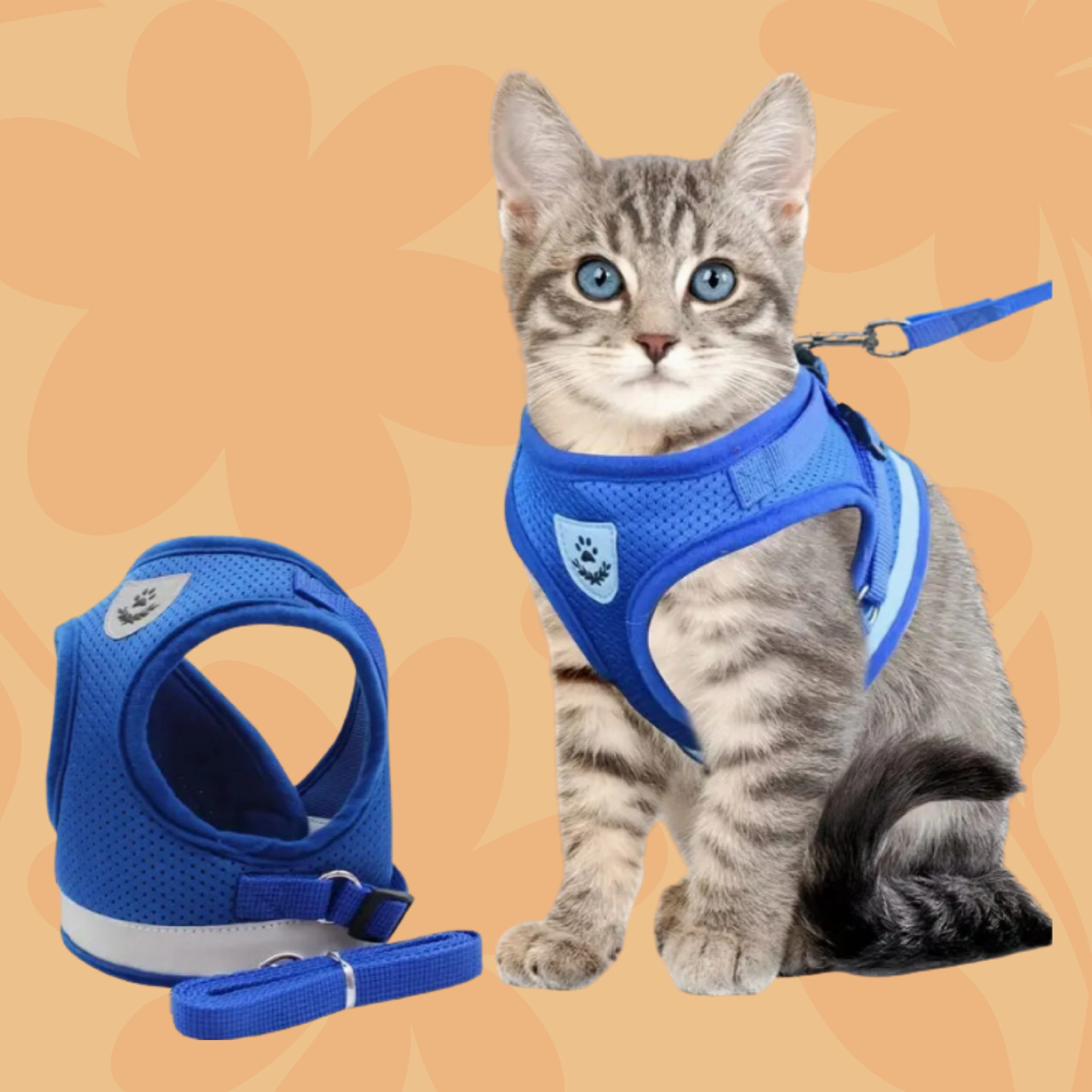 Image of Pettorina e Guinzaglio Gatto Avventura - Sicura: Sempre al tuo Fianco