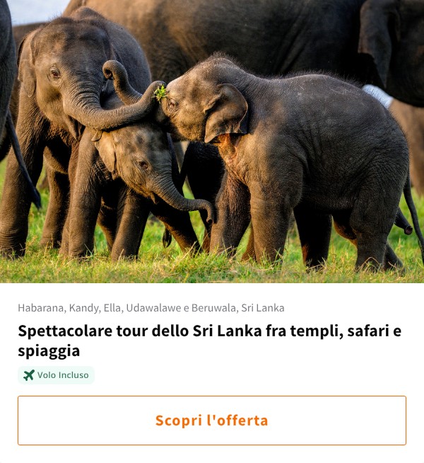 Spettacolare tour dello Sri Lanka fra templi, safari e spiaggia