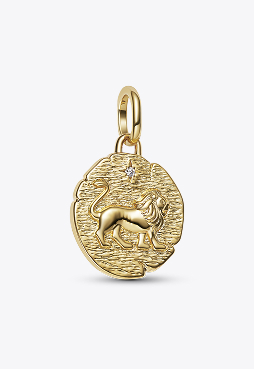 Lion Medallion Charm