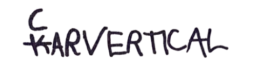 carVertical logo
