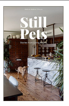 STILL PETS. STORIES FROM LIVING ROOMS. DOGS