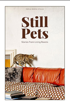 STILL PETS. STORIES FROM LIVING ROOMS. CATS