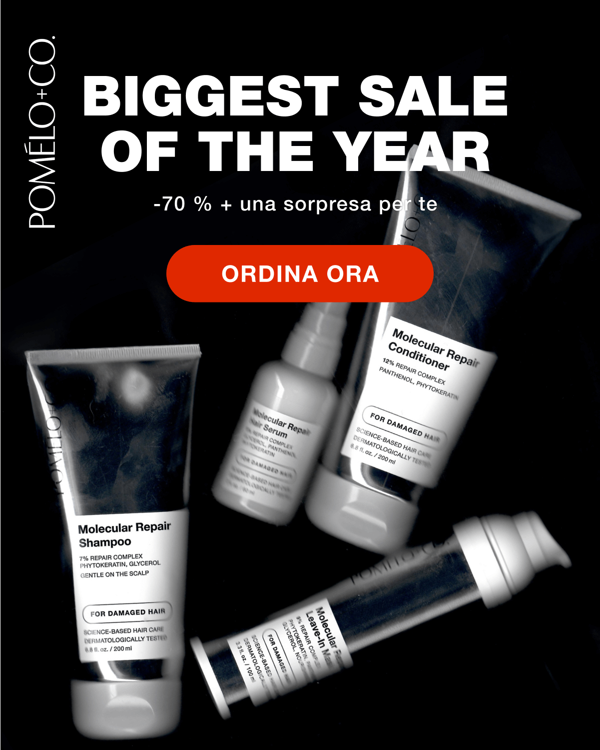 Biggest Sale of the Year