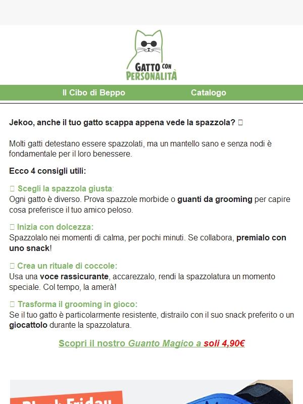 Il tuo gatto non si vuole far spazzolare?