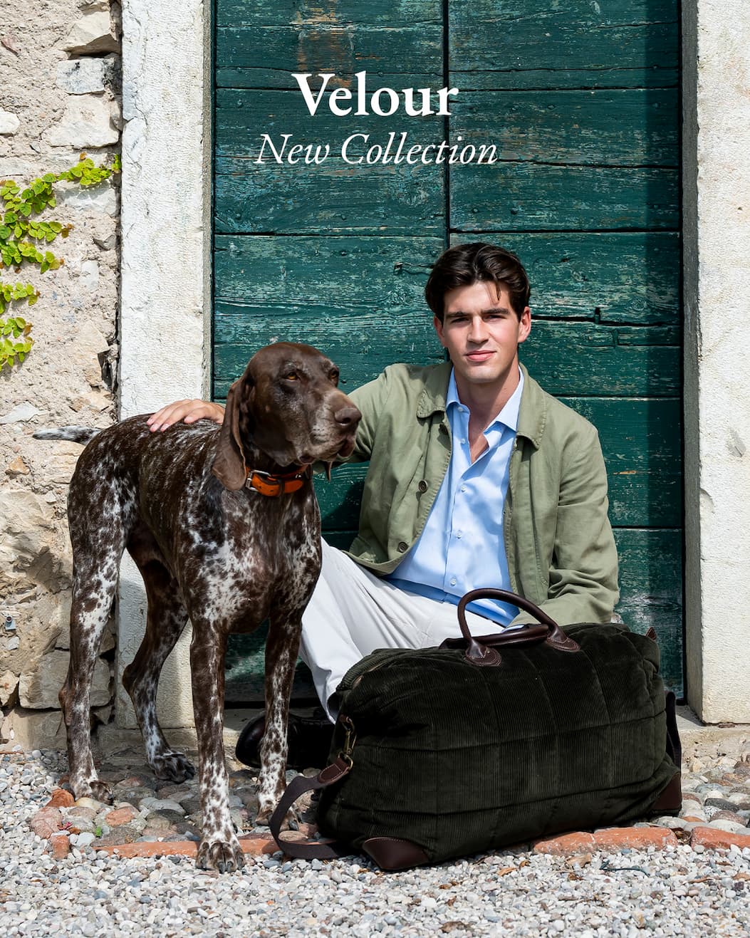 New Collection - Velour