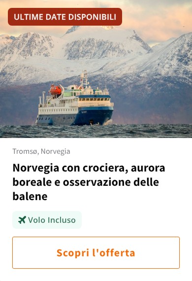 Norvegia con crociera, aurora boreale e osservazione delle balene