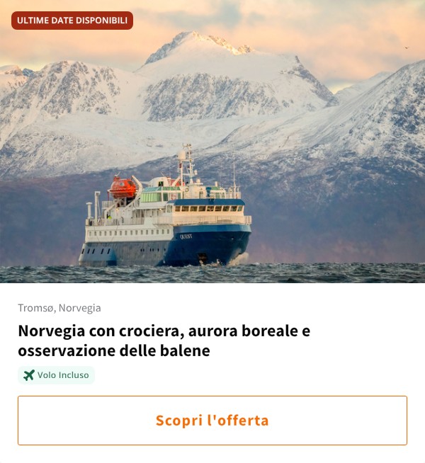 Norvegia con crociera, aurora boreale e osservazione delle balene