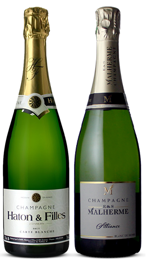 Champagne a meno di 30€