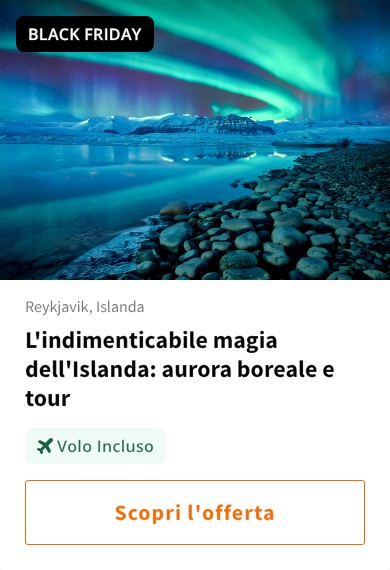 L&#x27;indimenticabile magia dell&#x27;Islanda: aurora boreale e tour