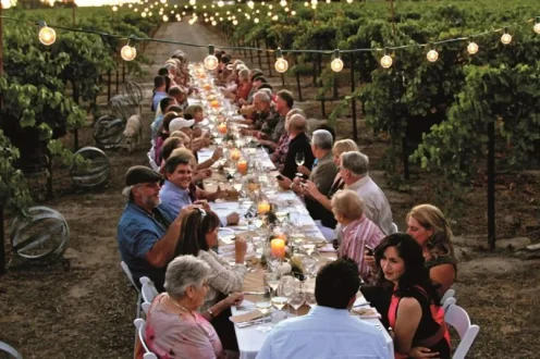 Offerte fino a 99€