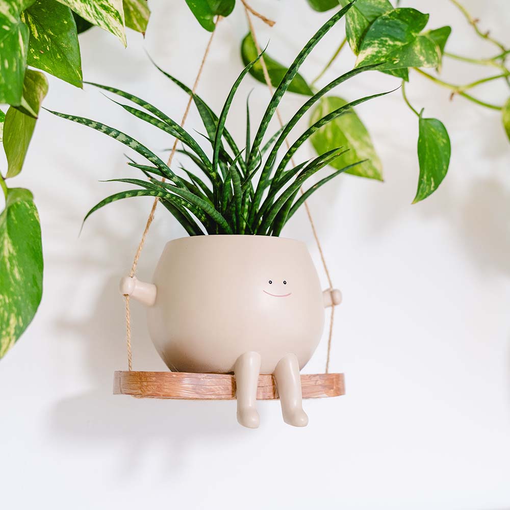 Image of Vaso per Piante Sospeso con Altalena