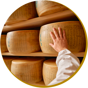 Strumenti semplici per un lavoro complesso