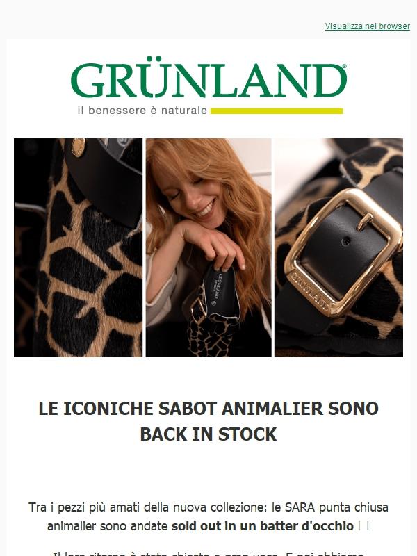 Indovina chi è tornato 🔙