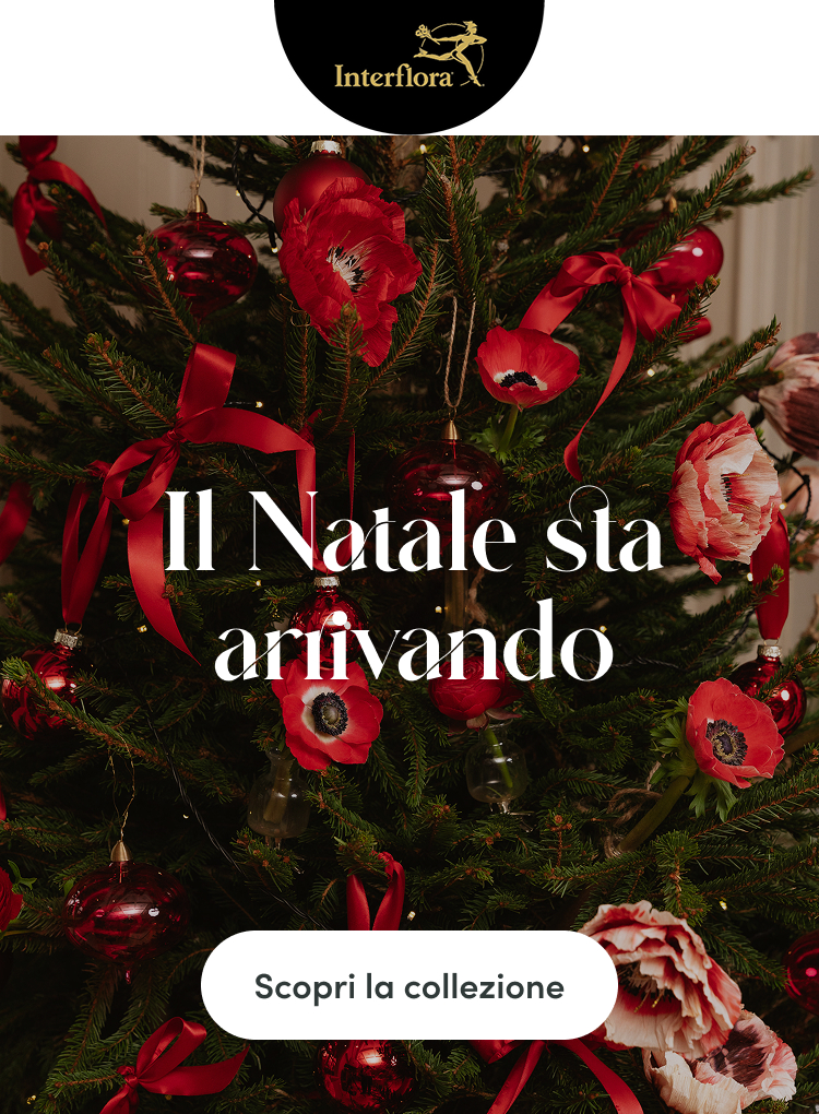 Il Natale sta arrivando