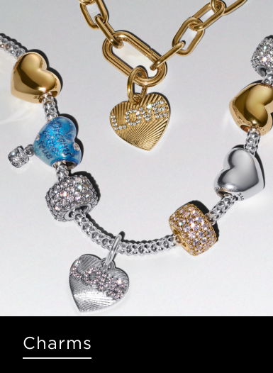 Shop Charms