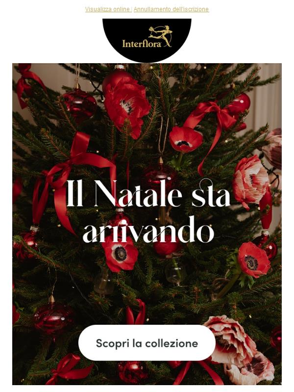Rendi il Natale magico🎄