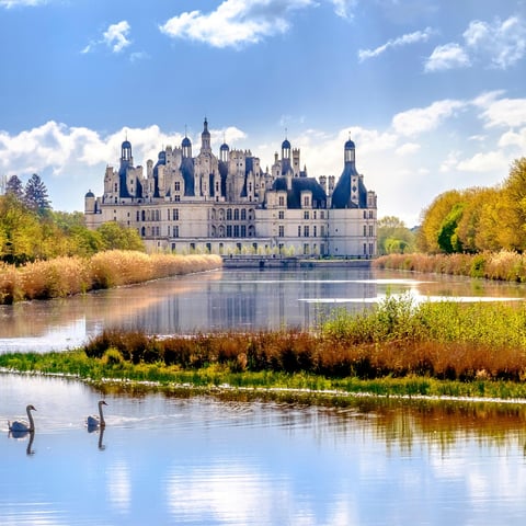 Activity image: Da Parigi: Escursione di un giorno ai castelli della Valle della Loira con degustazione di vini