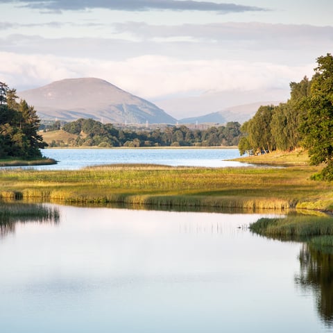 Activity image: Da Inverness: Parco nazionale di Cairngorms e tour del whisky