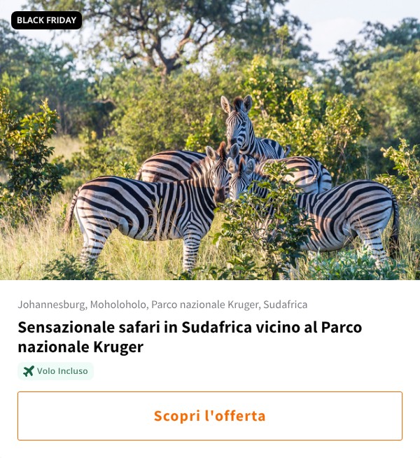 Sensazionale safari in Sudafrica vicino al Parco nazionale Kruger
