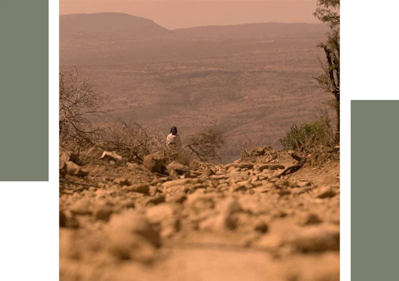 Green Friday 2025 - Davines