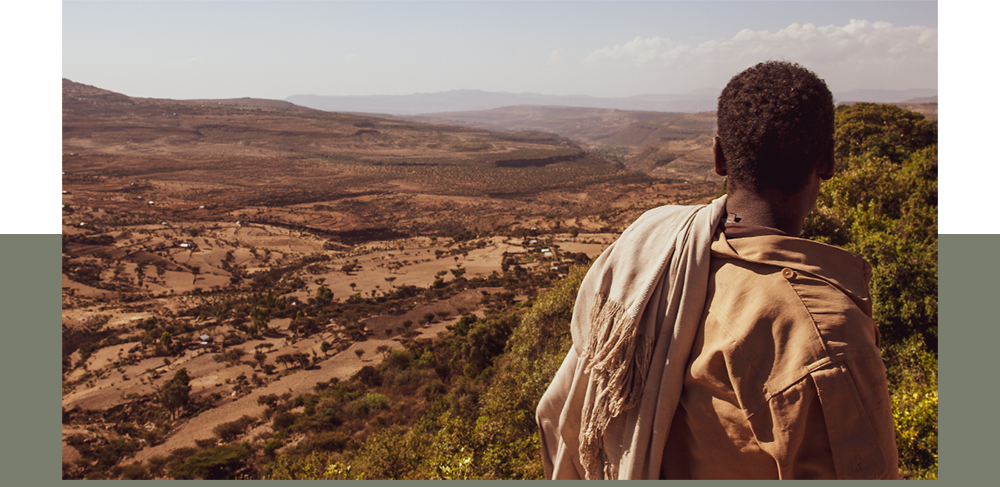 Green Friday 2025 - Davines