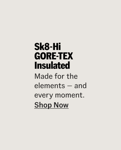 Sk8-Hi GORE-TEX Insulated Shoe