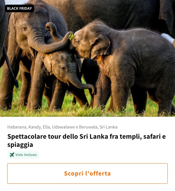 Spettacolare tour dello Sri Lanka fra templi, safari e spiaggia