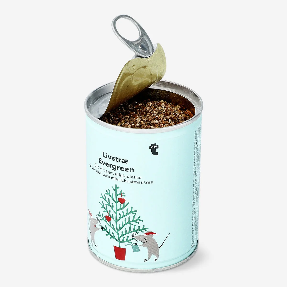 Image of Grow your own Christmas tree