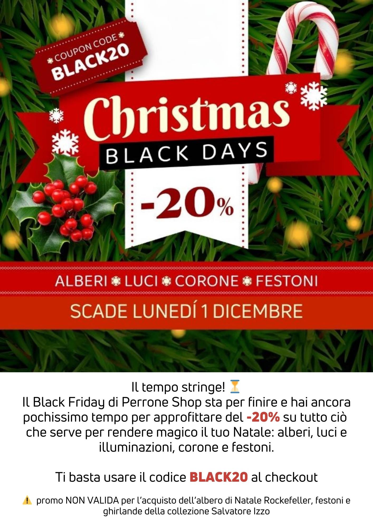 Scade l'1 dicembre | Perrone Shop 