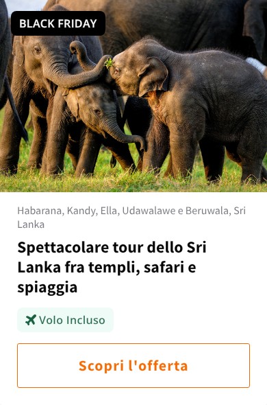 Spettacolare tour dello Sri Lanka fra templi, safari e spiaggia
