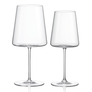 Rastal Zante White & Red Wine Glass Set in Glass - 12 Pieces
