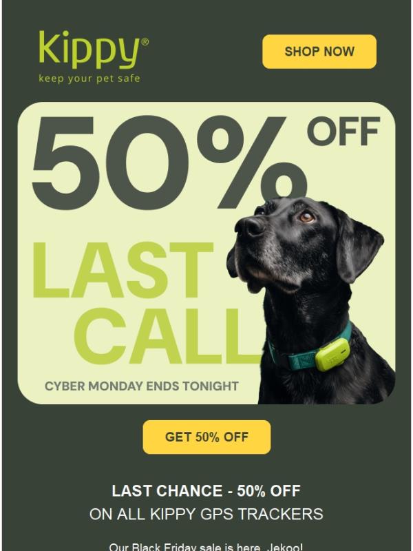 Final chance! 50% OFF for your dog 🐶