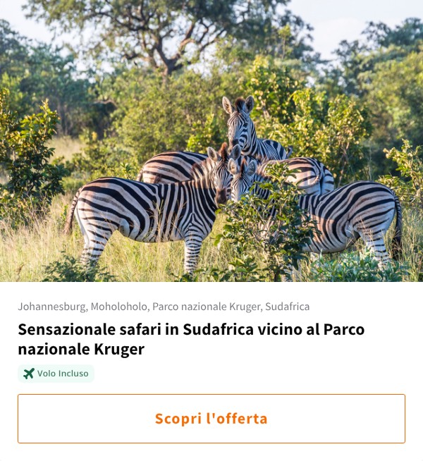 Sensazionale safari in Sudafrica vicino al Parco nazionale Kruger