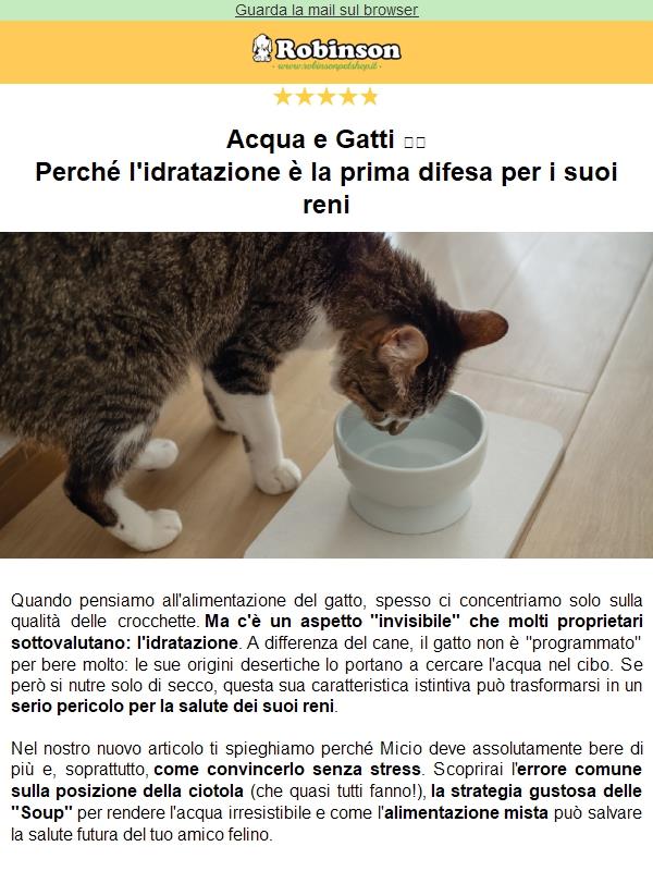 😿 Il tuo gatto mangia solo crocchette? Attenzione ai reni!