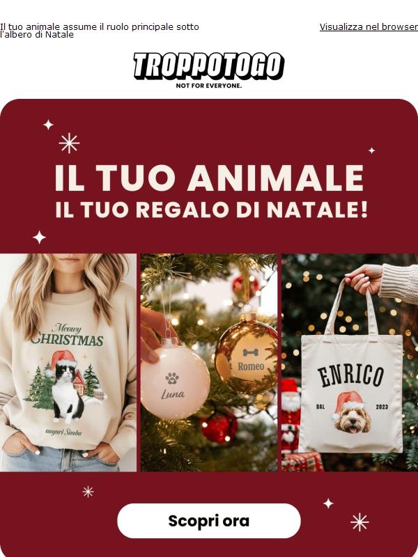 Il tuo animale come la stella di Natale