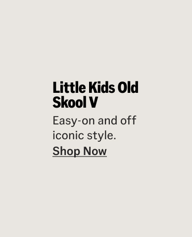 Little Kids Old Skool V Shoe