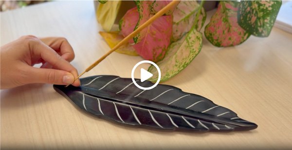 Guarda una presentazione video