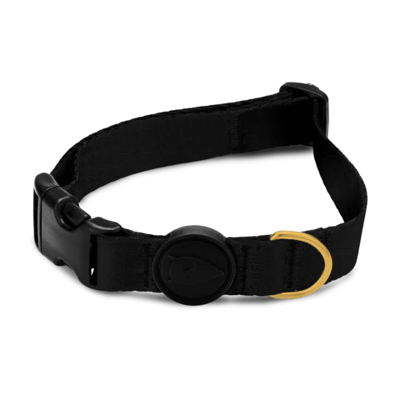 Morso Collare Gold Caviar Nero - M