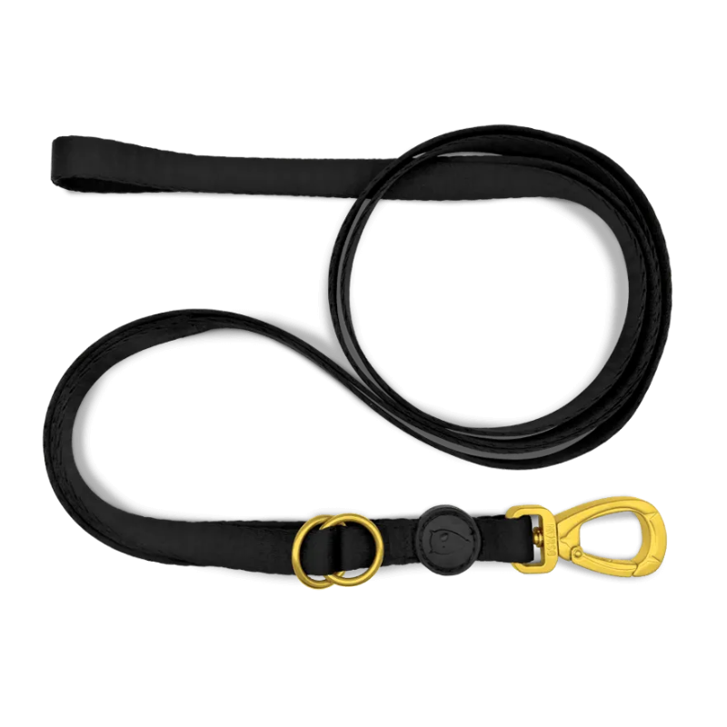 Morso Guinzaglio Gold Caviar Nero - S