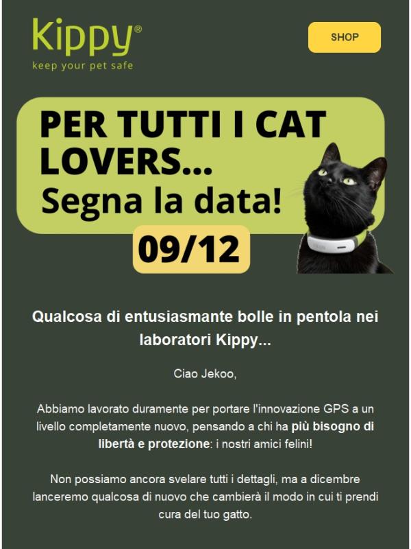 A tutti i proprietari di gatti - segnatevi la data😺