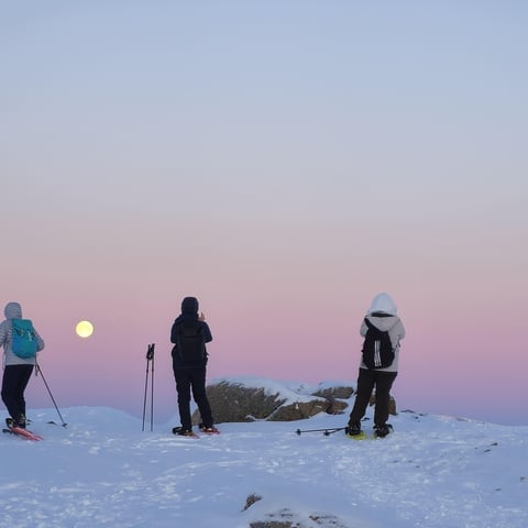 Activity image: Da Tromsø: Escursione con le ciaspole nell'Artico