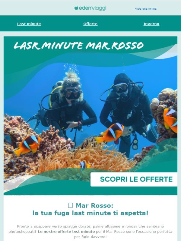 Last minute Mar Rosso 🐠