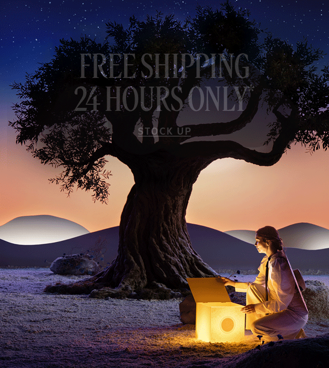 FREE SHIPPING 24 HOURS ONLY* | STOCK UP