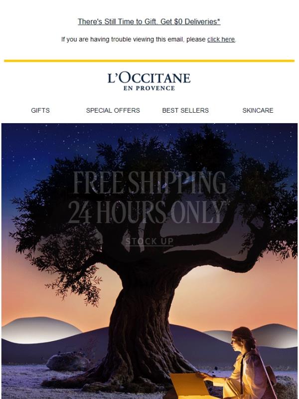 Everything Ships FREE! 24 Hours Only