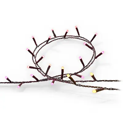 Luci a stringa Festavia